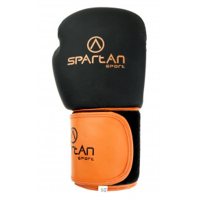 Boxing Gloves inSPORTline Metrojack